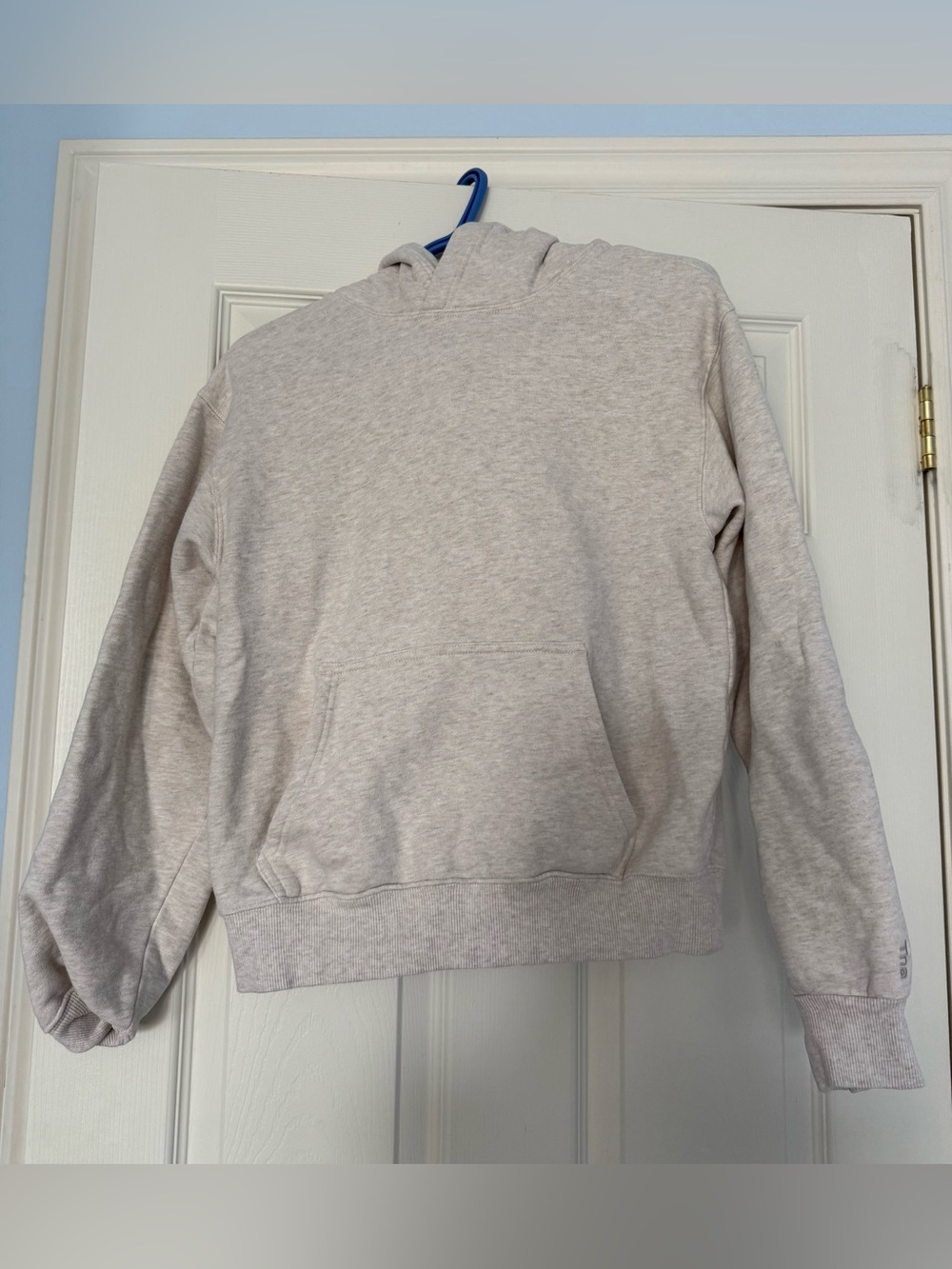 Aritzia Oatmeal Cozy Fleece Hoodie